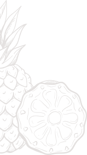 Customer Focussed Solutions